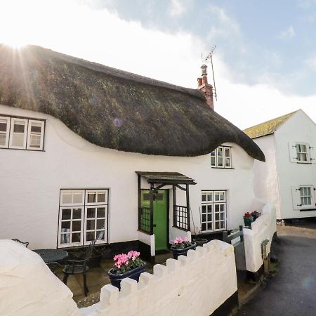 Teign Cottage Teignmouth Εξωτερικό φωτογραφία